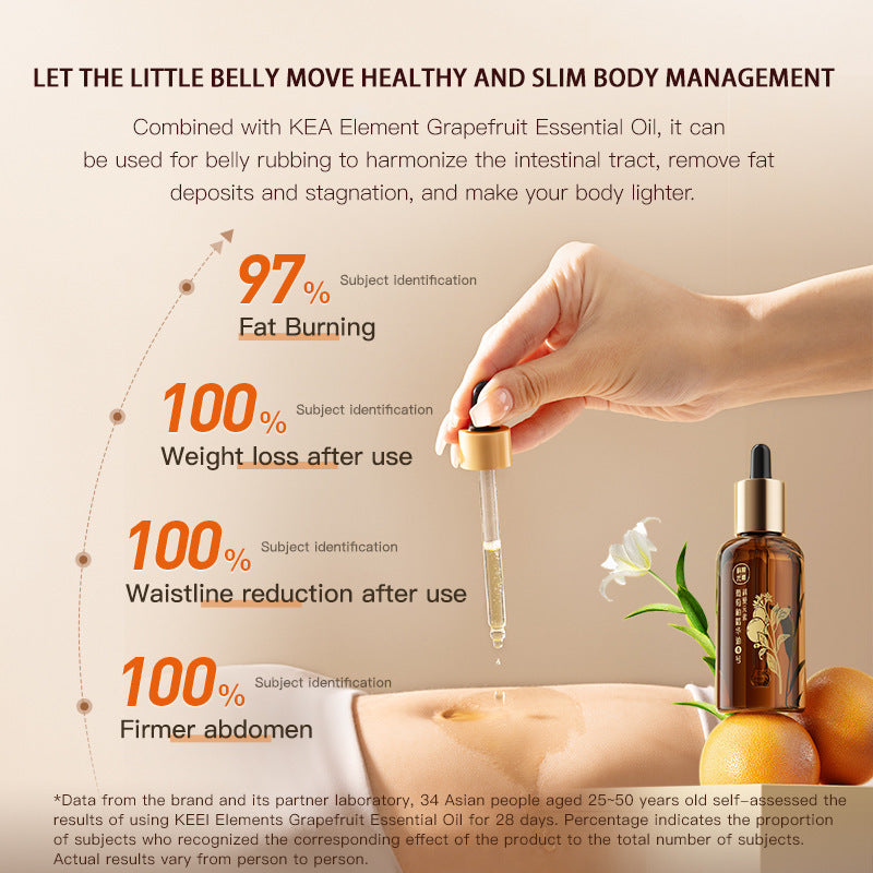 Abdominal Electric Waist And Abdomen Massager