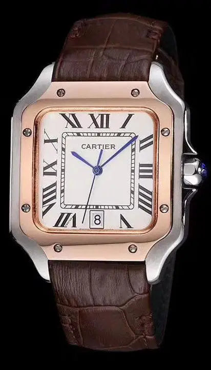 Men and Women Stainless Steel Quartz Movement And Automatic Movement Watch in 34MM 38MM Crafted with Cartieres Inspiration