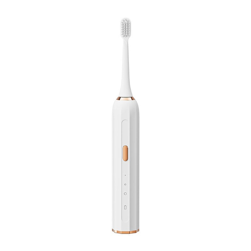 Couple Electric Toothbrush Home Travel Soft Hair